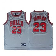 Maillot Retro Chicago Bulls Jordan Gris