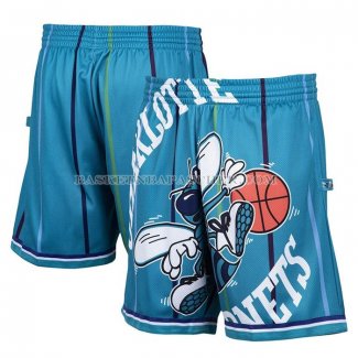 Short Charlotte Hornets Mitchell & Ness Big Face Vert