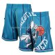 Short Charlotte Hornets Mitchell & Ness Big Face Vert