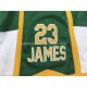 Short St. vincent-st. mary LeBron James Vert