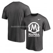 Maillot Manche Courte Los Angeles Lakers Mamba Sports Academy Gris2