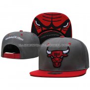 Casquette Chicago Bulls Rouge Gris
