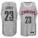Maillot Lumieres de la ville Cleveland Cavaliers James Gris