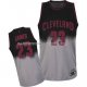Maillot Fadeaway Mode JamesBosh Gris