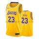 Maillot Los Angeles Lakers Anthony Davis Icon 2019-20 Jaune