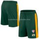 Short Boston Celtics 75th Anniversary Vert