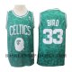 Maillot Boston Celtics Larry Bird Mitchell & Ness Vert