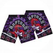 Short Tornto Raptors Mitchell & Ness Noir Volet