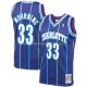 Maillot Charlotte Hornets Alonzo Mourning NO 33 Mitchell & Ness Volet